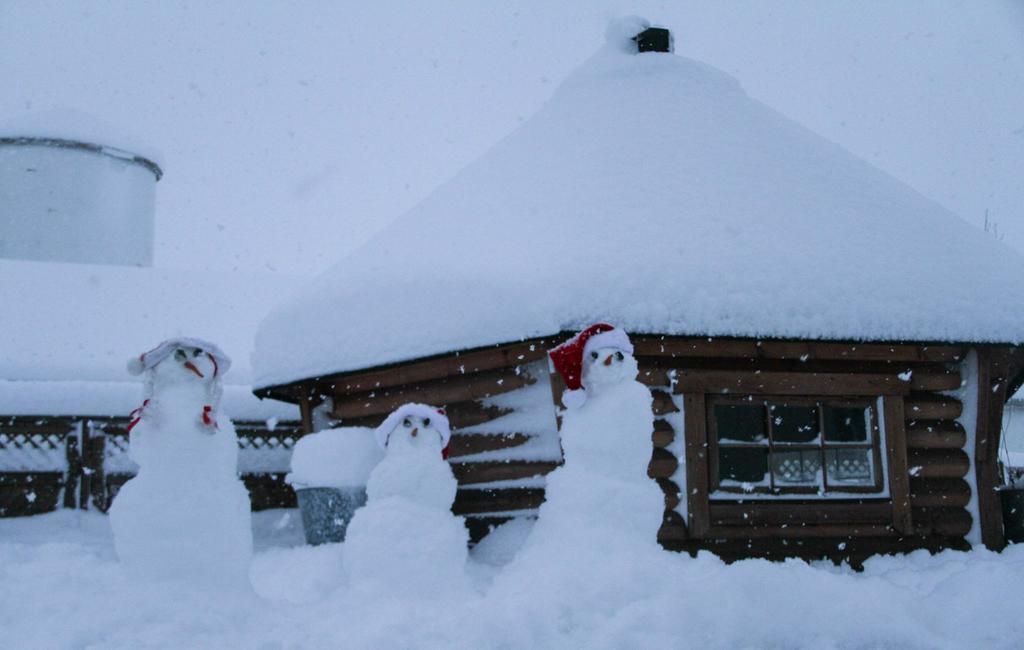 Guesthouse Hof In Vatnsdalur Hof i Vatnsdal Exterior foto
